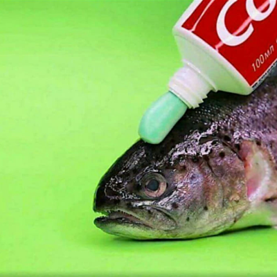 Timeline: Geokronoloogiline skaala Orm BK