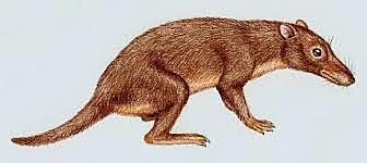 Triiase ajastu- Dinosaurused ja Imetajad