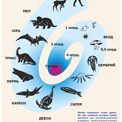 Timeline: Geokronoloogiline skaala. Katherin BK klass