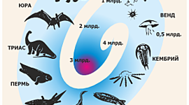 Timeline: Geokronoloogiline skaala. Katherin BK klass