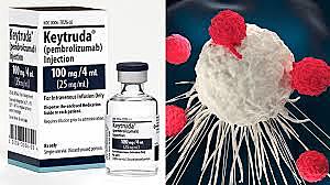 The First immunotherapy drug was approved