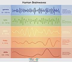 Brain Waves