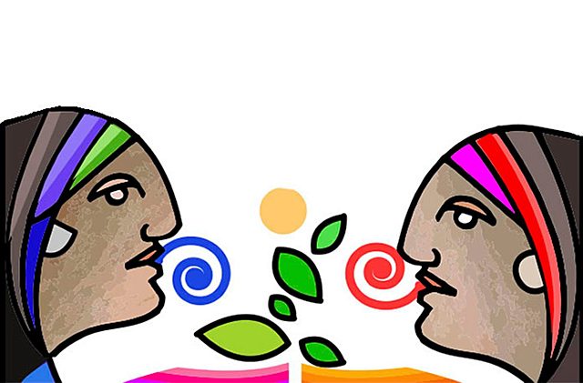 Acceso en términos de lengua materna