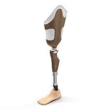 Prosthetic Leg