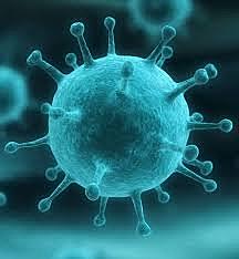 Girolamo Fracastoro ~ first doctor that suggested that human diseases may be caused by pathogens