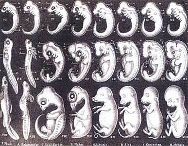 Ciencia materialista