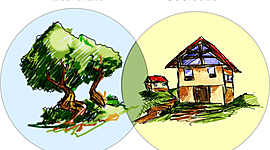 Timeline: A1.1. NATURALEZA Y SOCIEDAD_CANUL_BELEM