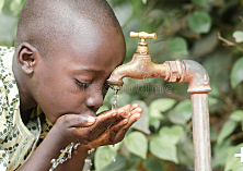 Ellen Swallow Richards