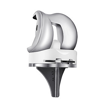 Artificial Knee