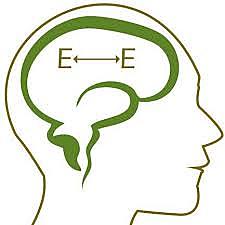 •	Respuesta incondicionada (RI) y respuesta condicionada (RC)