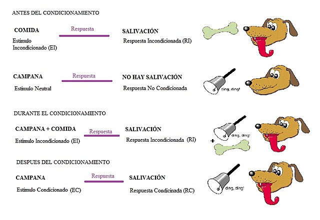 Condicionamiento de primer orden