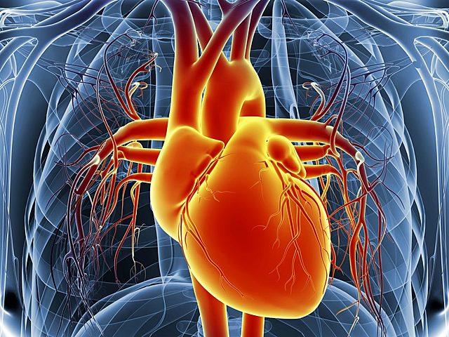 Heart Disease Deaths Dropped by 40%
