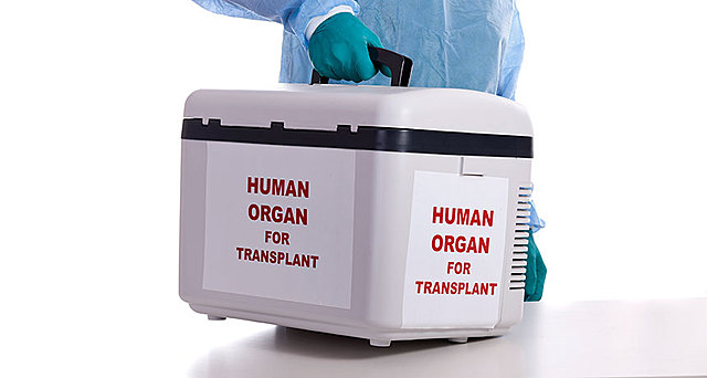 Organ transplants discovered