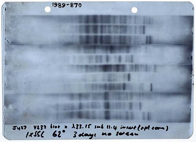 DNA Evidence first used in a Crime