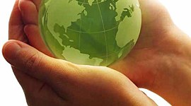 Timeline: Problemas Ambientales