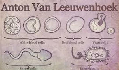 Anton Van Leeuwenhok
