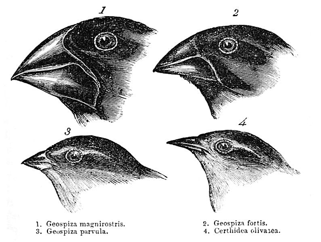 Publicación de El origen de las especies por medio de la selección natural