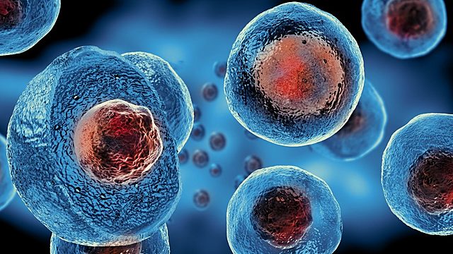 Embryonic Stem Cells