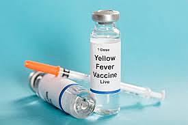 Yellow fever
