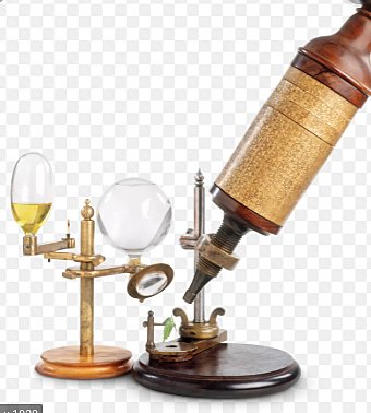 The Microscope