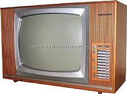 Primera televisión