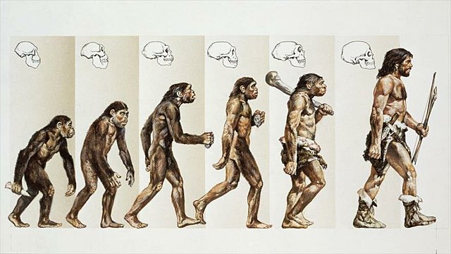 Teoría de la evolución publicada por Charles Darwin