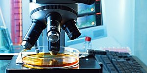 Se hacen renovaciones en América Latina hacia la ciencia