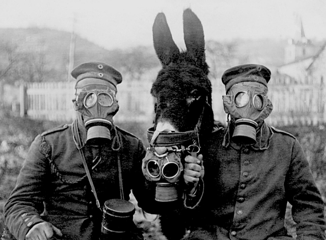 Durante la primera guerra mundial (1914-1920)