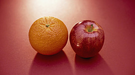 Timeline: משו מיוחד