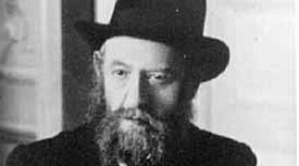 Timeline: timeline 1