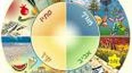 Timeline: חגים במעגל השנה- שליחות