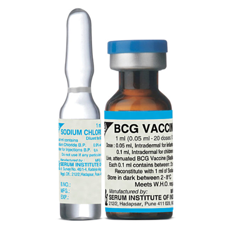 Calmette and Guerin use the BCG vaccine in humans