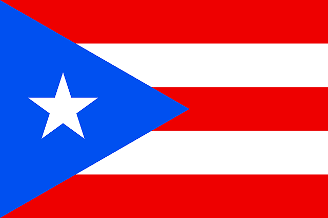 yo viaje a Puerto Rico.