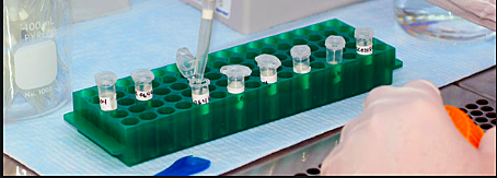 DNA evidence 1st used in a crime