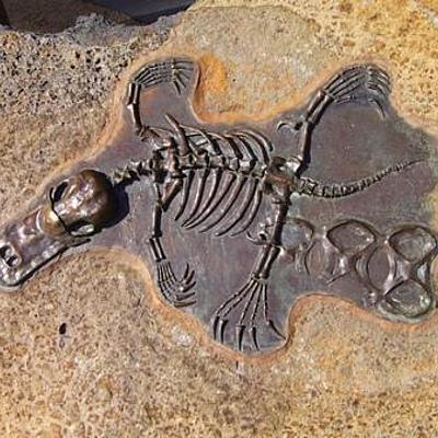 Timeline: Línea de tiempo evolutiva