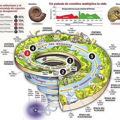 Timeline: linea de tiempo evolutiva Fernanda