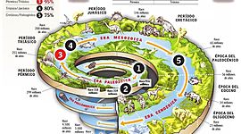 Timeline: linea de tiempo evolutiva Fernanda