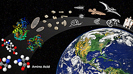 Timeline: linea de tiempo evolutiva- Catalina Cáceres