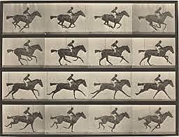 Experimento de Muybridge