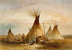 The Tipi