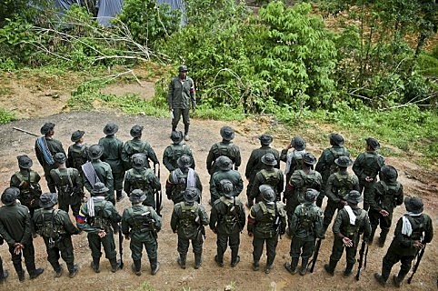 Proceso de reorganización de las FARC