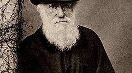 Timeline: Charles Darwin (1809-1882)