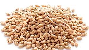 Estandarización de cambio.