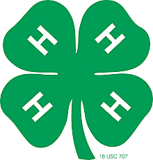 4-H