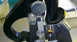 Timeline: Construcción de la teoría celular, sus principales aportaciones y postulados.