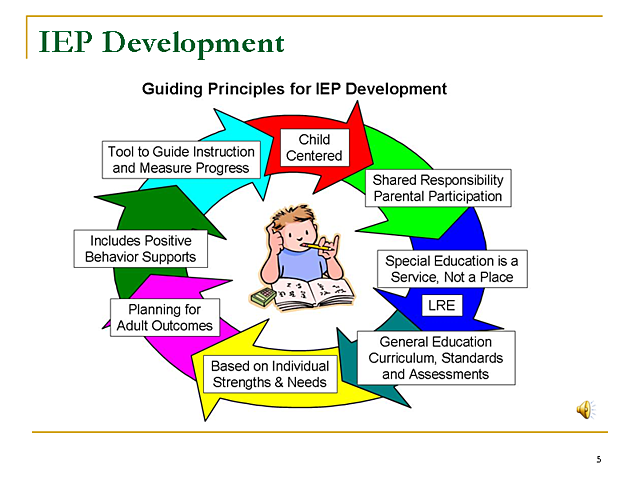 Individualized Education Program (IEP)