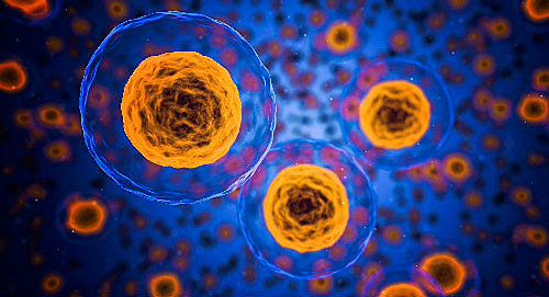 Concepto de la teoría celular