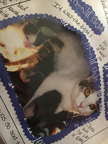 I got to see kitty be born