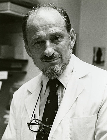 PERIODO MODERNO (1945-1975)    N. Geschwind (1926- 1984)