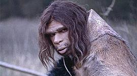 Timeline: Ljudska Evolucija